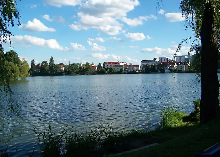 Studio Appartement *